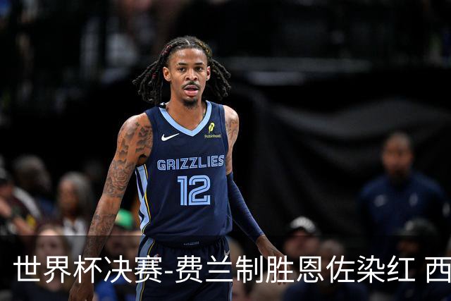 世界杯决赛-费兰制胜恩佐染红 西班牙加时1-0阿根廷夺冠