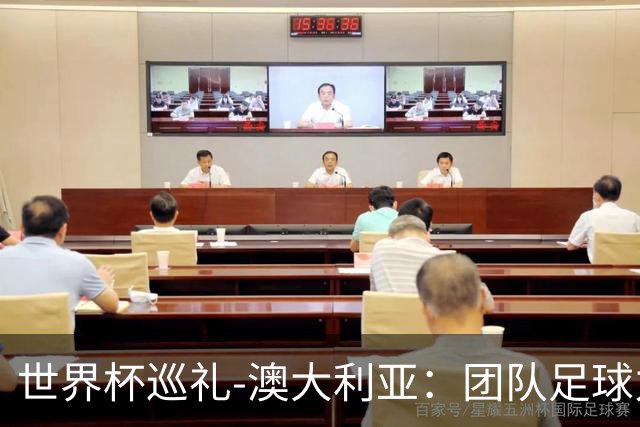 世界杯巡礼-澳大利亚：团队足球力量大，老将“外援”联手造奇迹