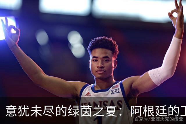 意犹未尽的绿茵之夏：阿根廷的卫冕梦碎与释怀