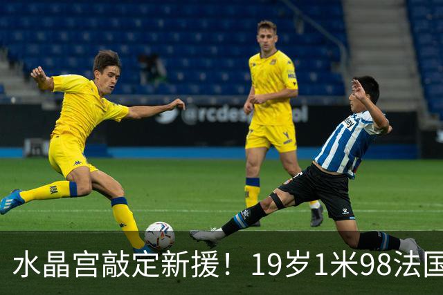 水晶宫敲定新援！19岁1米98法国OD中卫勒格恩同意加盟，未来防线再添潜力股