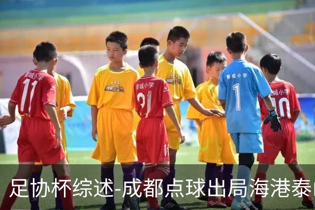 足协杯综述-成都点球出局海港泰山晋级 申花大胜