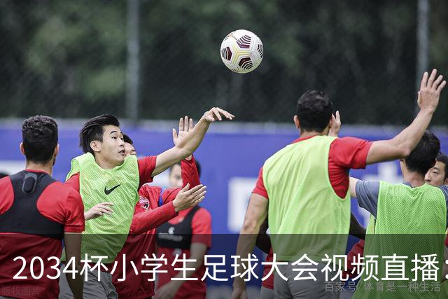2034杯小学生足球大会视频直播：董路中国足球小将蓝队VS西藏攀峰足球俱乐部！！